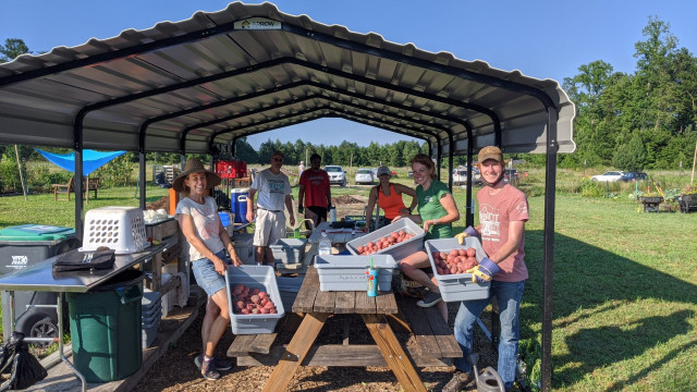 Agency Photo  (172256)