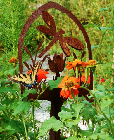 Agency Photo  (153856)