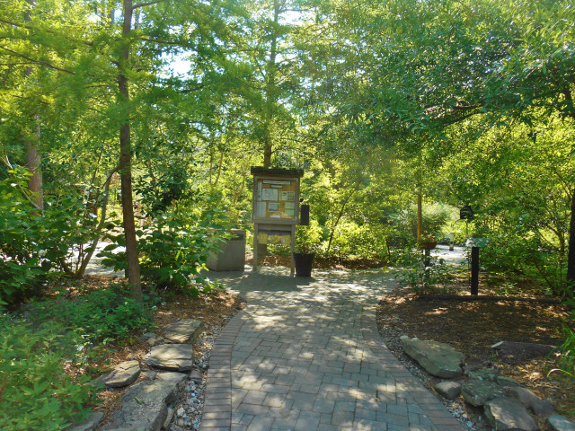 Agency Photo  (153854)