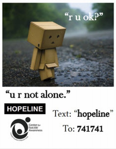 Agency Photo  (98100)