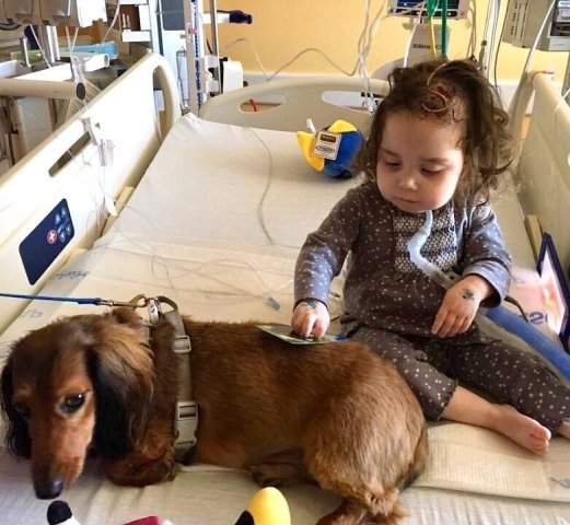 Agency Photo  (238550)