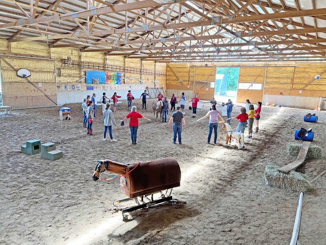 Agency Photo  (205375)