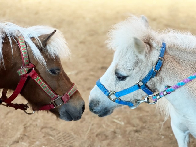 Agency Photo  (205384)