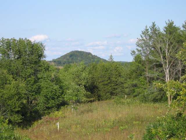 Agency Photo  (32735)