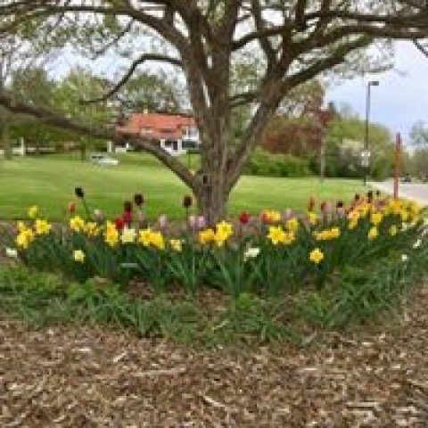 Agency Photo  (124755)