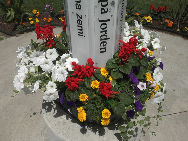 Agency Photo  (125260)