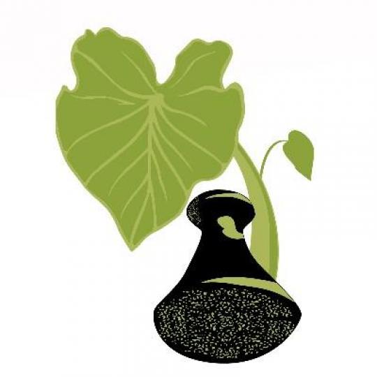 Agency Logo