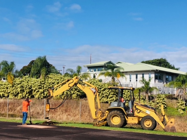 Agency Photo  (175483)