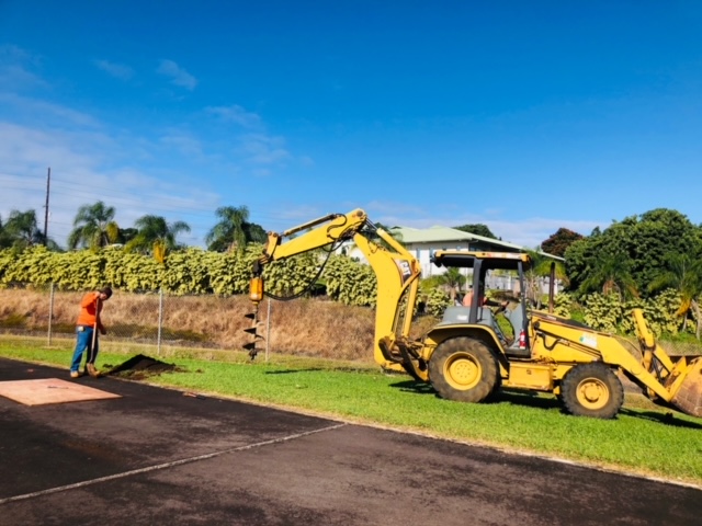 Agency Photo  (175484)