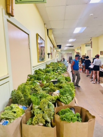 Agency Photo  (175479)