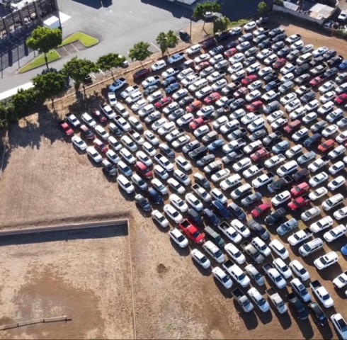 Agency Photo  (175481)