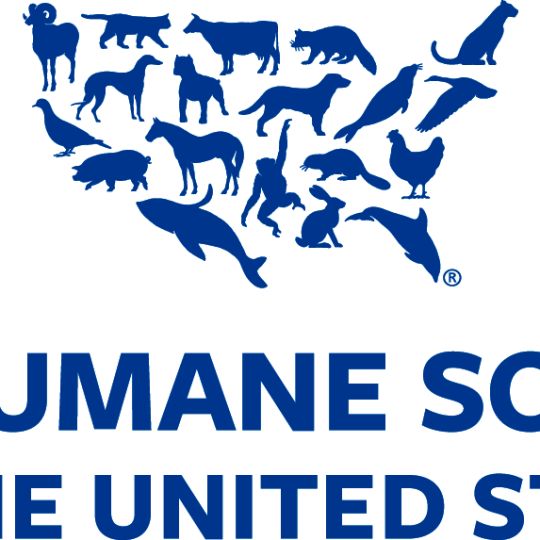 Agency Logo