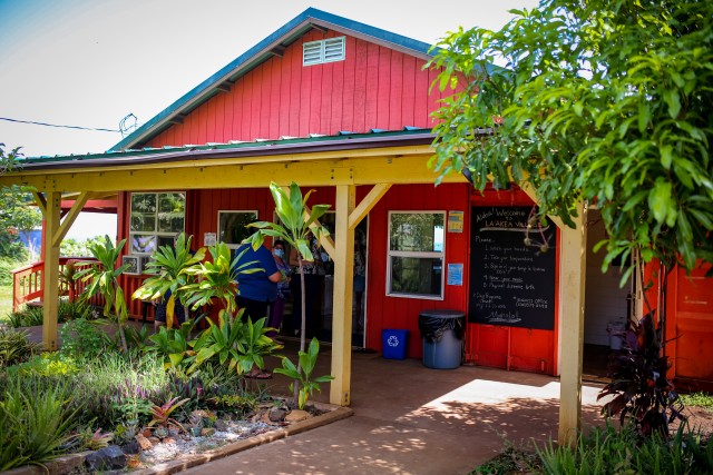 Agency Photo  (200867)