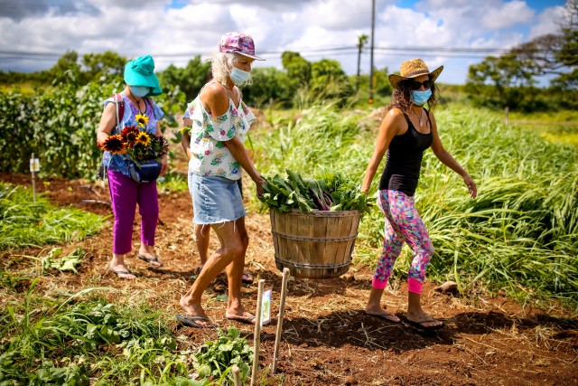 Agency Photo  (200869)