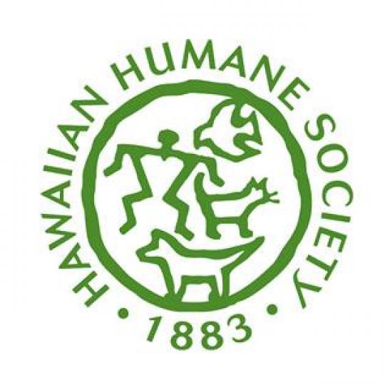 Agency Logo