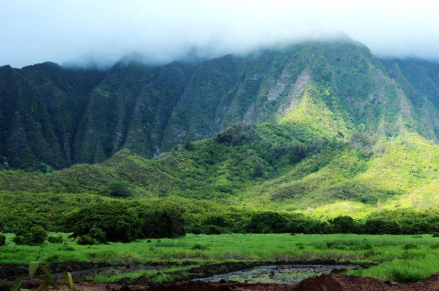 Agency Photo  (35540)