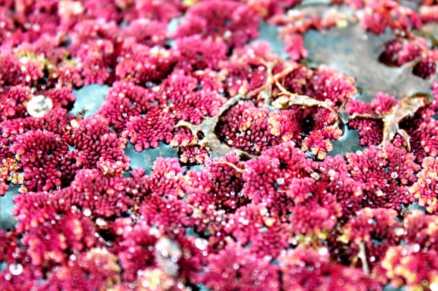 Agency Photo  (35538)