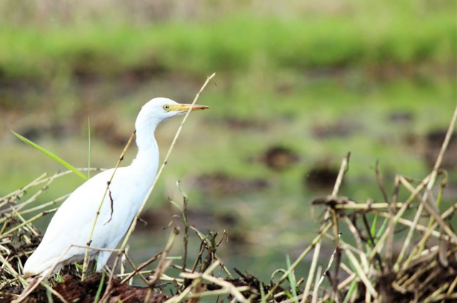 Agency Photo  (35543)