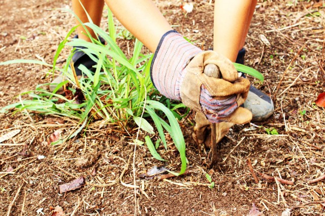 Agency Photo  (35541)