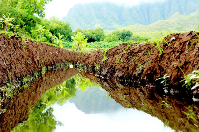 Agency Photo  (35539)