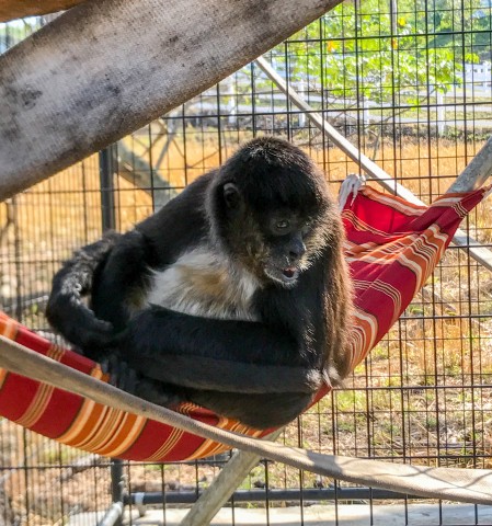 Agency Photo  (98006)