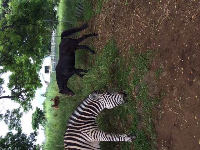 Agency Photo  (97997)