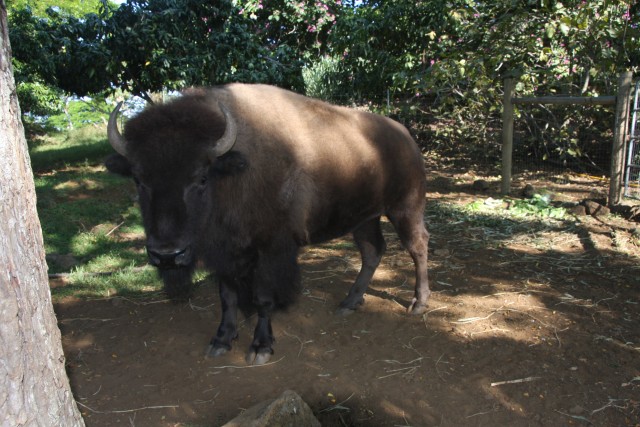 Agency Photo  (98002)