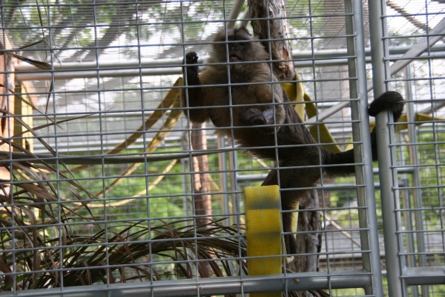 Agency Photo  (98007)