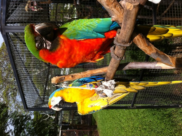 Agency Photo  (98003)