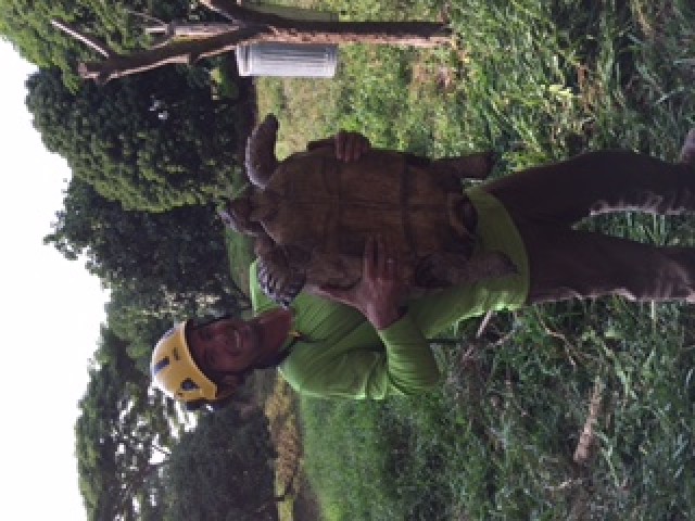 Agency Photo  (98000)