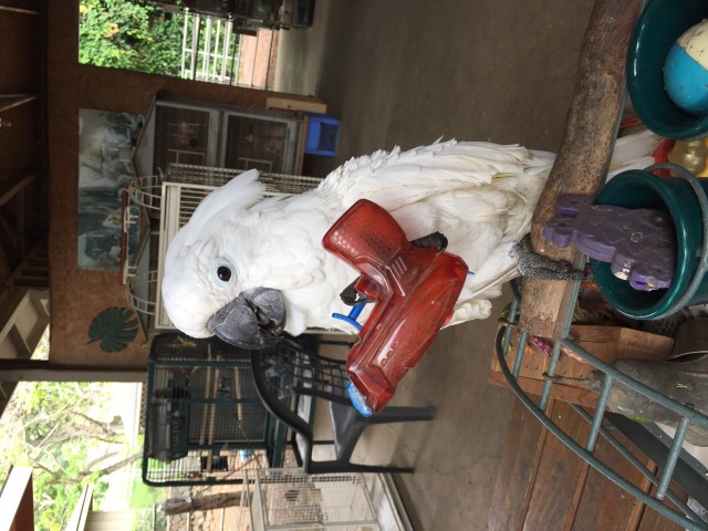 Agency Photo  (98004)