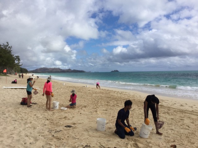 Agency Photo  (93383)