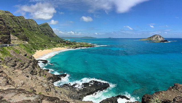 Agency Photo  (96264)