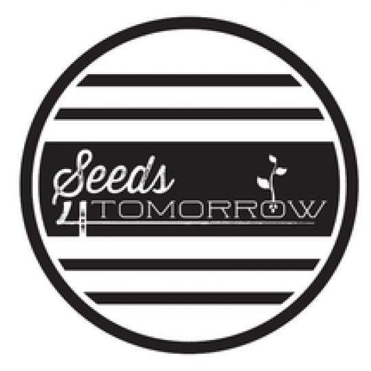 Agency Logo