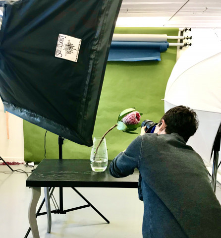 Agency Photo  (164786)