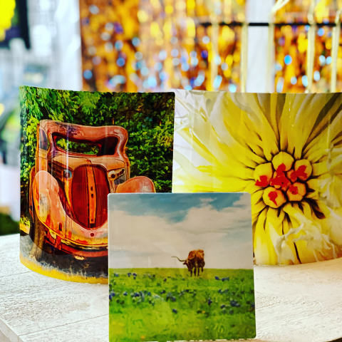 Agency Photo  (164755)