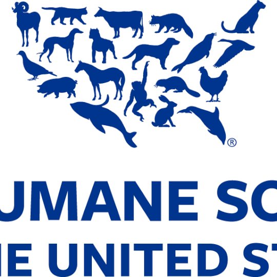 Agency Logo