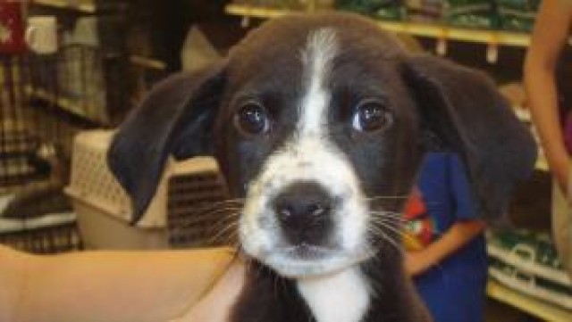 Agency Photo  (58386)