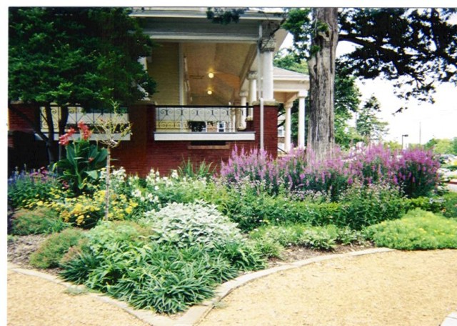Agency Photo  (49371)