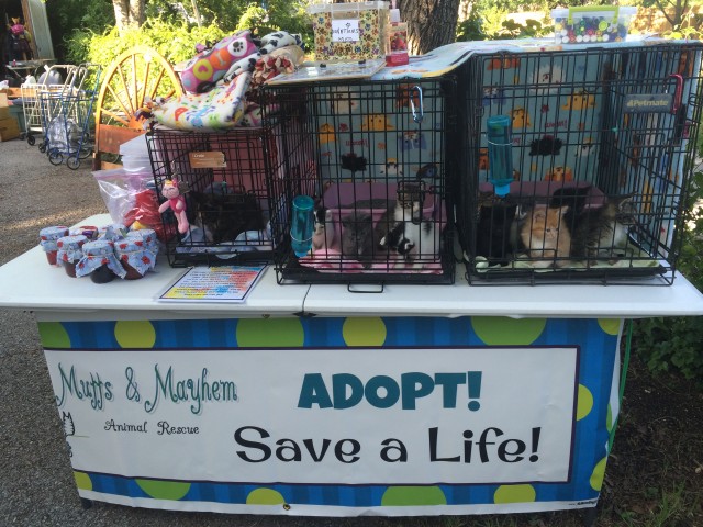 Agency Photo  (57097)