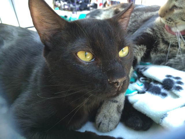 Agency Photo  (57103)