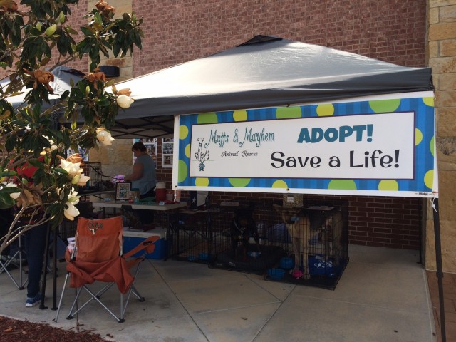 Agency Photo  (57098)