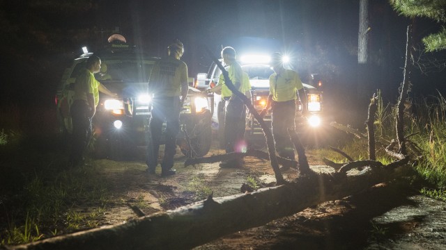 Agency Photo  (72465)