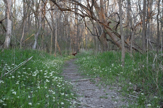 Agency Photo  (139067)