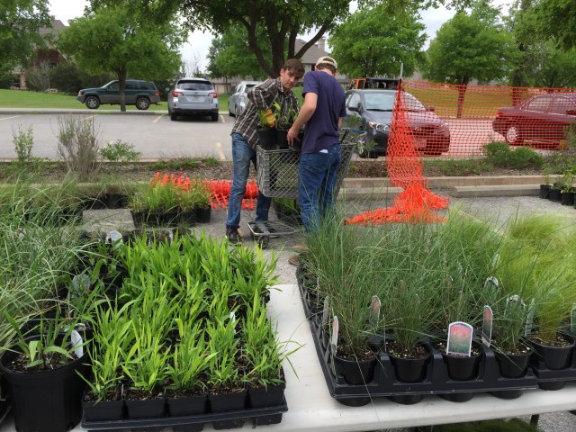 Agency Photo  (49183)