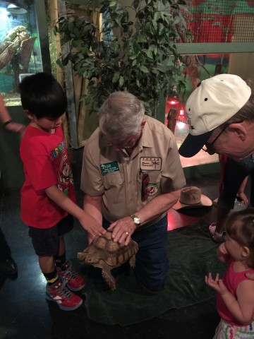 Agency Photo  (49171)