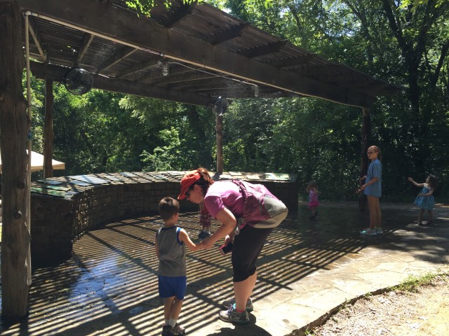 Agency Photo  (49179)