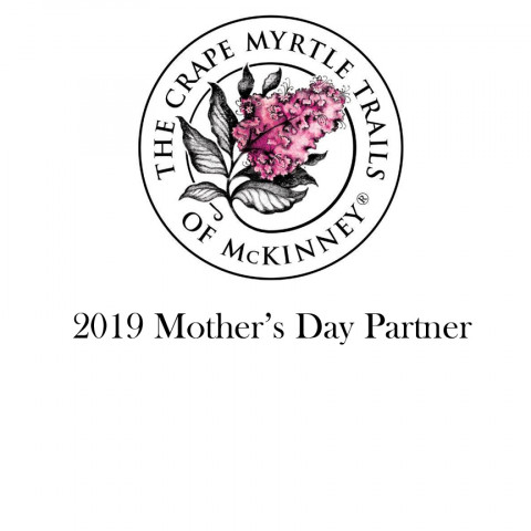 Agency Photo  (138027)