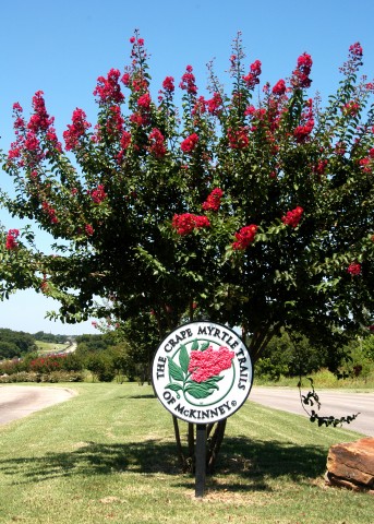 Agency Photo  (50699)