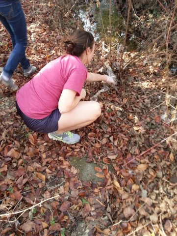 Agency Photo  (24964)